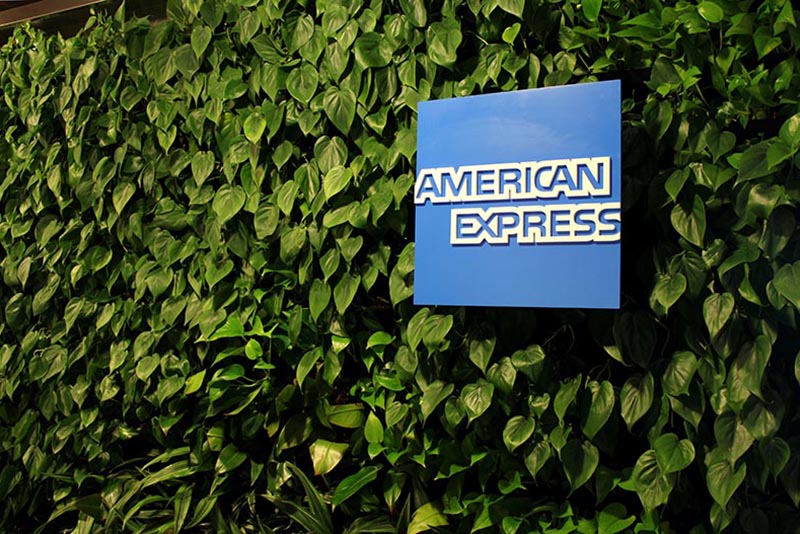 American Express logo against plant backdrop. 